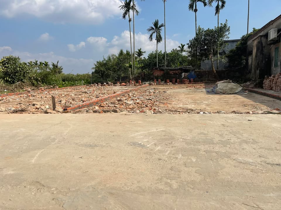 Đất thổ cư xã Tam Cường 115m² giá chỉ 900 triệu - Cơ hội đầu tư hấp dẫn!