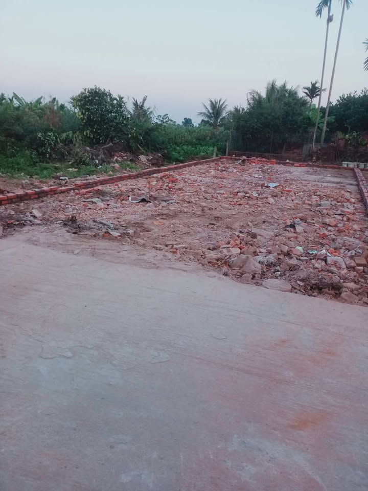 Đất thổ cư 115m² tại Tranh Dưới, Tam Cường chỉ 9xx triệu - Đầu tư sinh lời ngay!