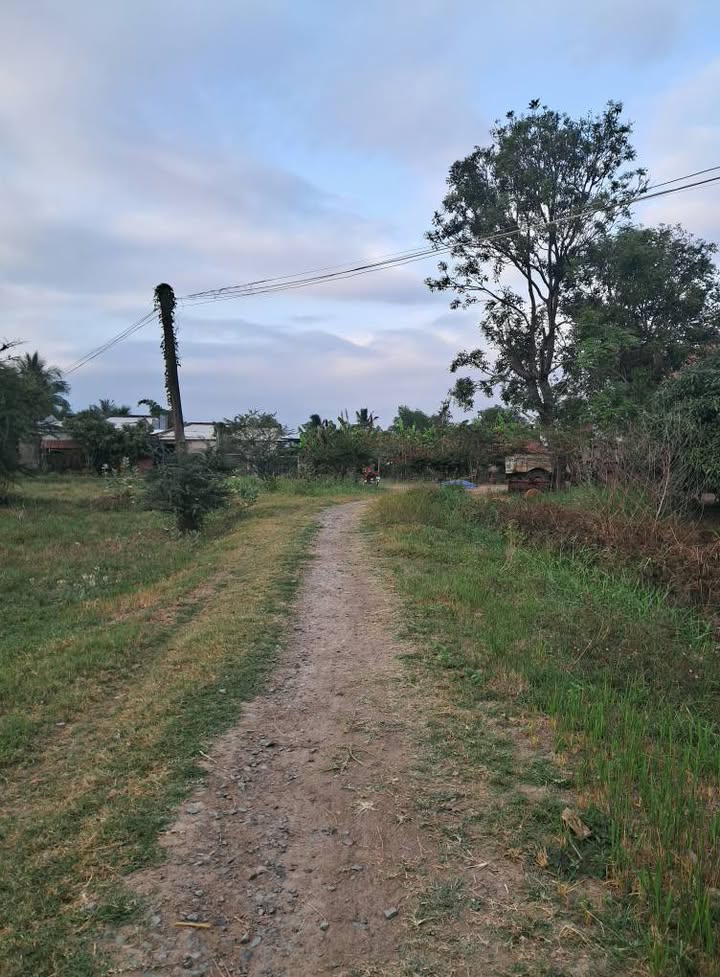 Đất nông nghiệp 7200m² tại Hồng Sơn, Bình Thuận - Giá chỉ 239 triệu!