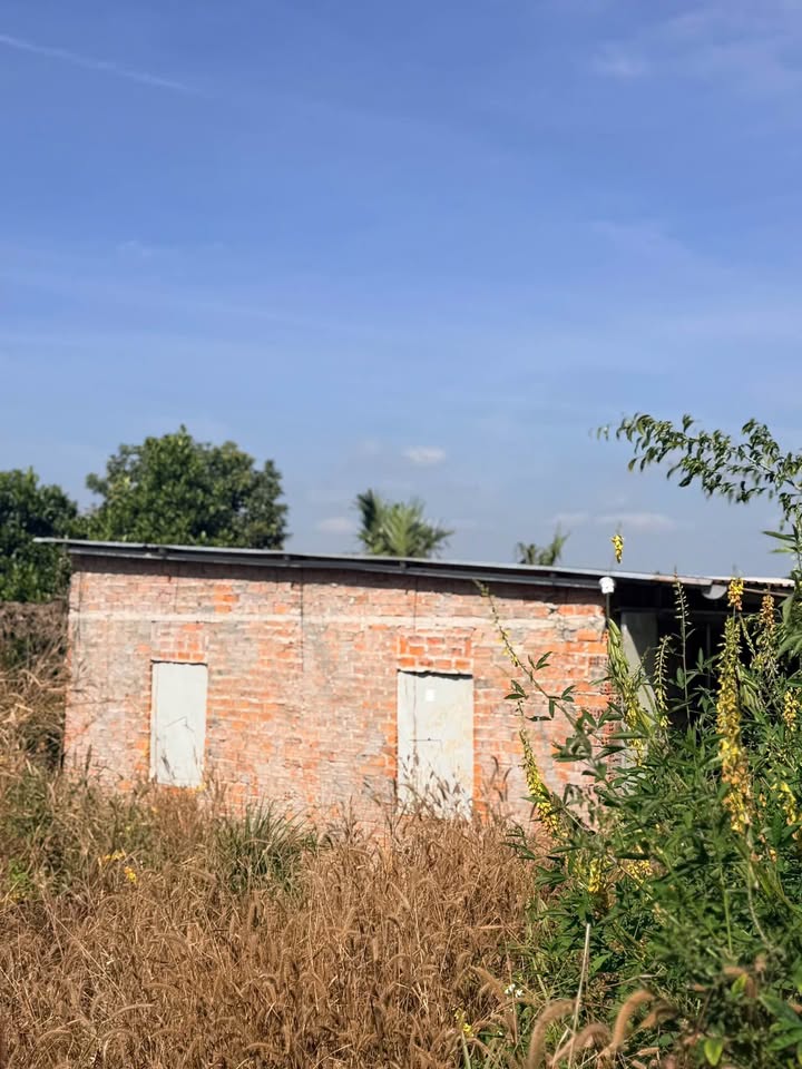 Đất nền 500m² hẻm 442 Y Moan, Buôn Ma Thuột - Giá chỉ 2.1 tỷ, tặng 2 nhà cấp 4!