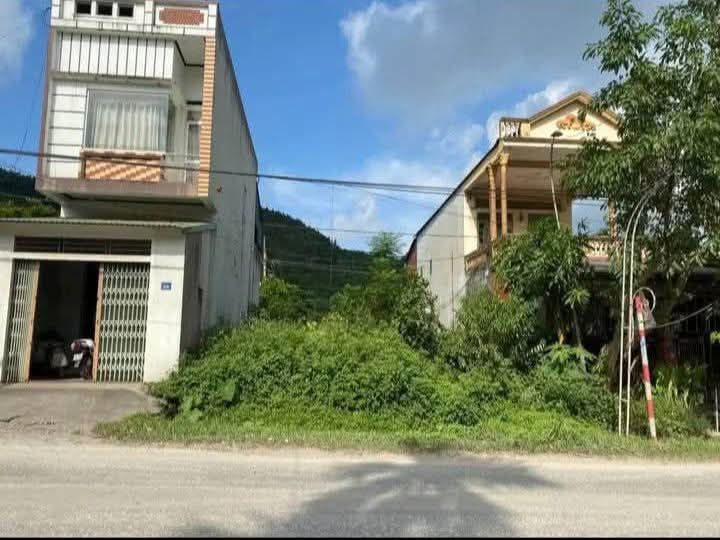 Bán đất mặt đường Yên Bình 116.15m² giá chỉ 8xx triệu - Kinh doanh thuận lợi!