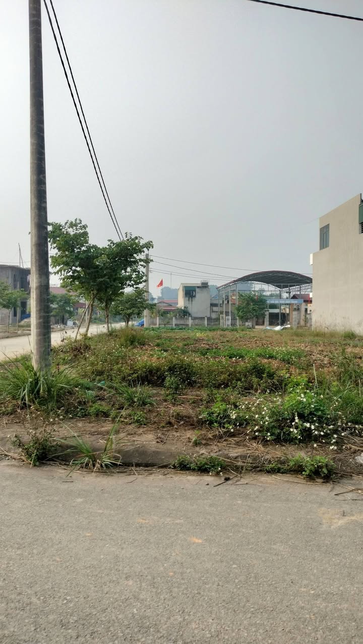 Đất nền khu TĐC Trực Thanh, Nam Định 220m² giá 3.x tỷ - Lô góc 2 mặt tiền