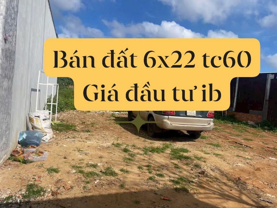 Đất thổ cư Phường Tân An 132m² - Đường ô tô, vị trí đẹp, giá tốt!