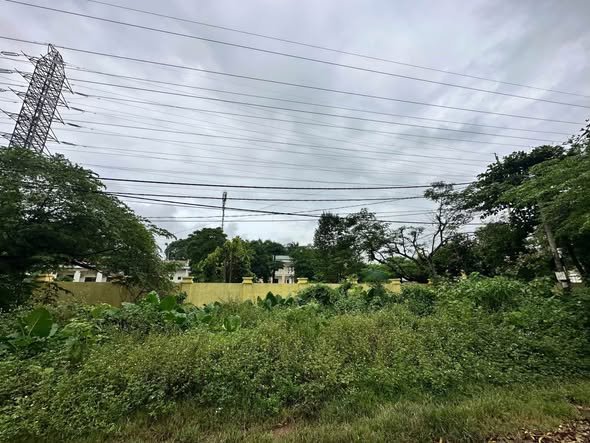 Đất Đội 9 Cẩm Đội - Phường Nông Trang 208m² giá 1.x triệu/m² - Đầu tư sinh lời ngay!