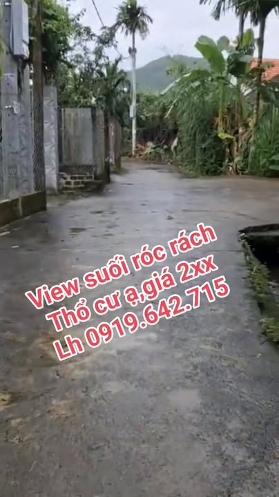 Đất Farm Vườn Viêu Suối, Nghĩa Hành 650m² giá chỉ 200 triệu - Cơ hội đầu tư hấp dẫn!