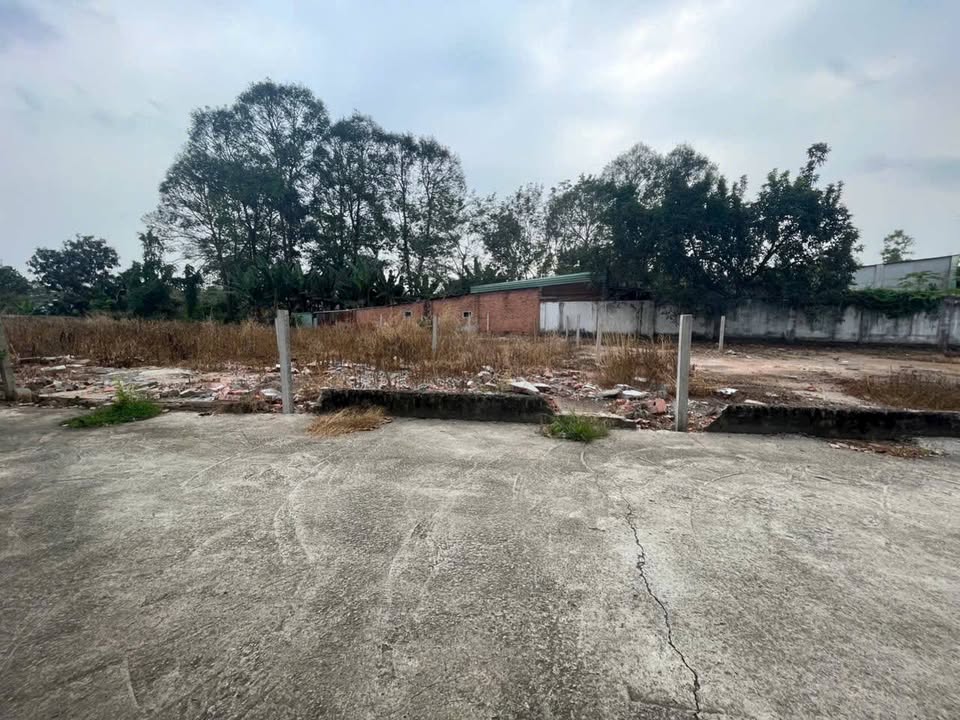 Bán đất khu dân cư Gia Phát Sake Hòa Long - Diện tích từ 98m² đến 170m², giá chỉ từ 1.35 tỷ!