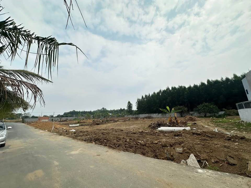 Đất nền Phường Tân Triều, Biên Hòa 100m² giá 800 triệu - Cơ hội đầu tư sinh lời!