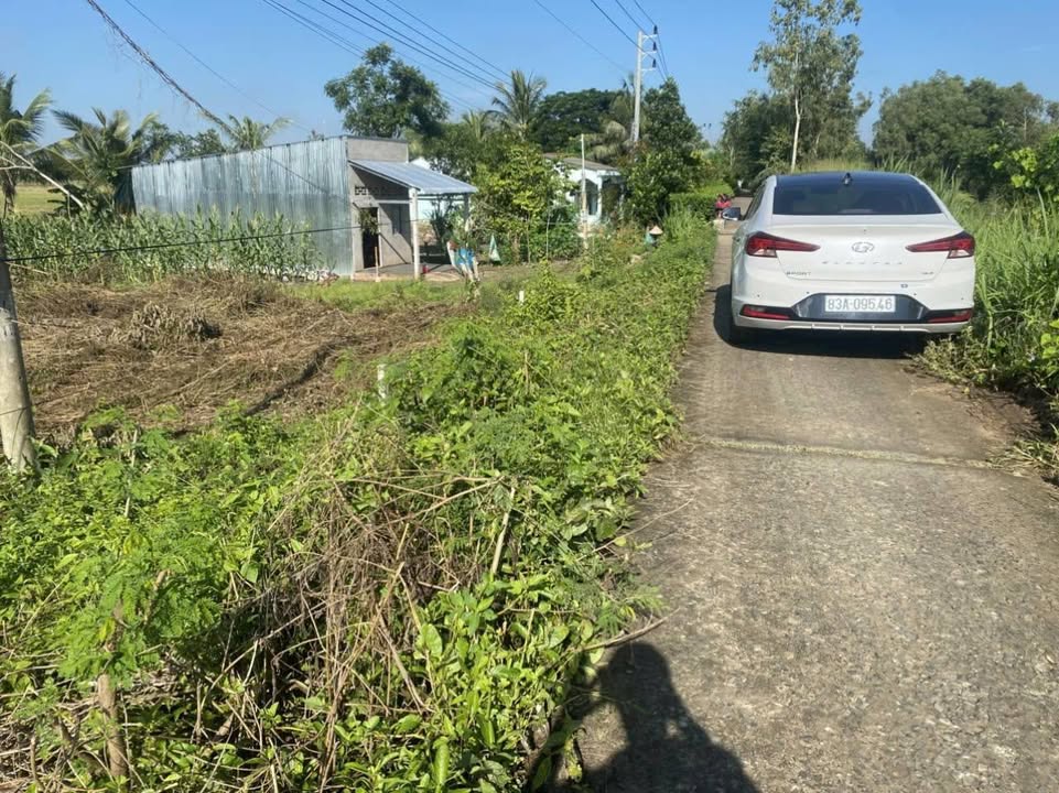 Đất nền tại Ấp Bưng Chông, Xã Tài Văn, 125m² giá chỉ 175 triệu - Đầu tư sinh lời ngay!