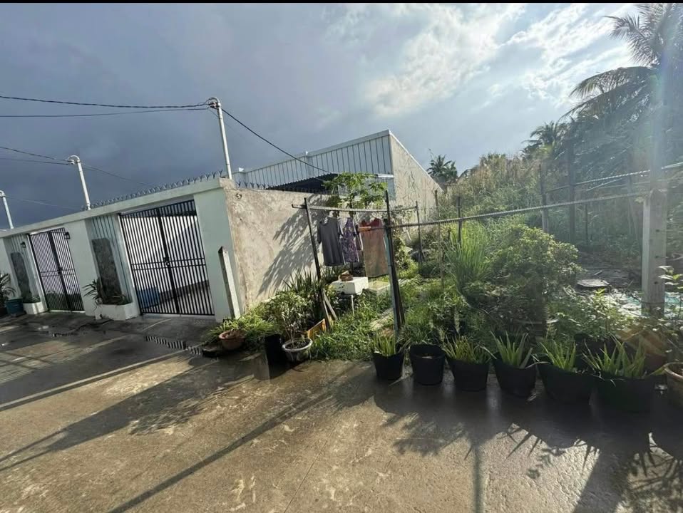 Đất nền hẻm 213 Phạm Ngọc Thạch, P8, TP. Sóc Trăng 225m² - Giá chỉ 1.15 tỷ, thương lượng ngay!