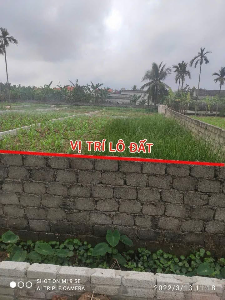 Đất thổ cư 116m² xã Nga Tiến giá chỉ 2xx triệu - Sổ đỏ chính chủ sẵn sàng giao dịch!