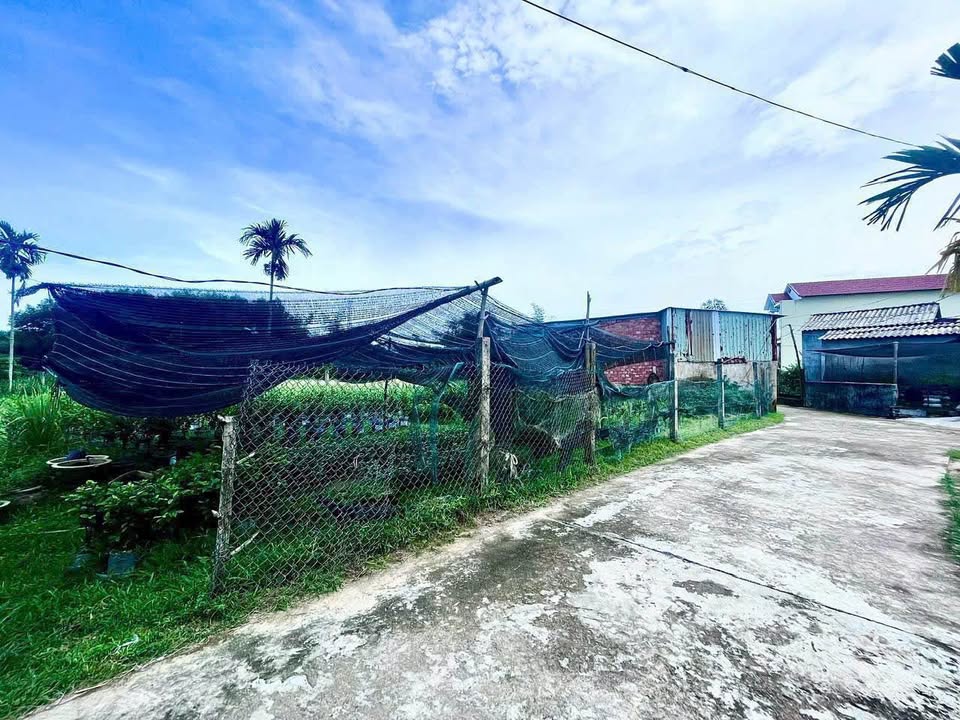 Bán gấp 4 lô đất Nghĩa Điền - Tư Nghĩa, Quảng Ngãi giá từ 530 triệu