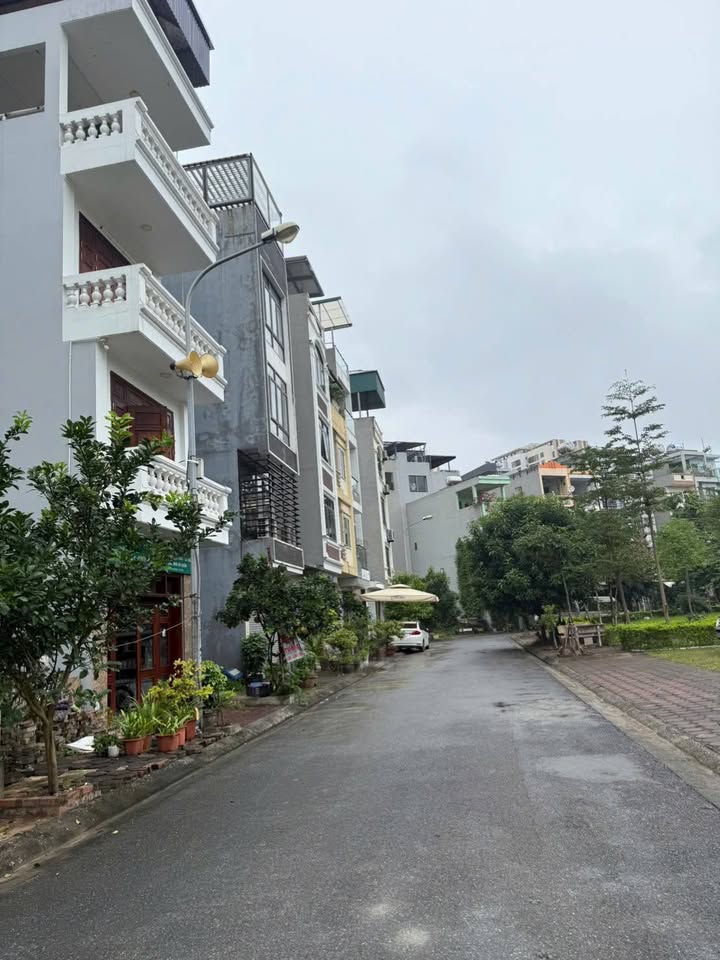 Đất nền phân lô Việt Hưng 65m² giá thỏa thuận - View vườn hoa thoáng mát!