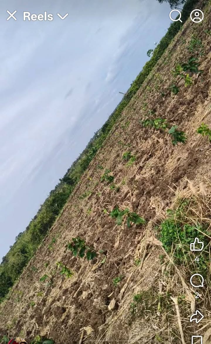 Đất nền 9.000m² mặt tiền bê tông tại Quảng Hiệp chỉ 1.4 tỷ - Cơ hội đầu tư hấp dẫn!