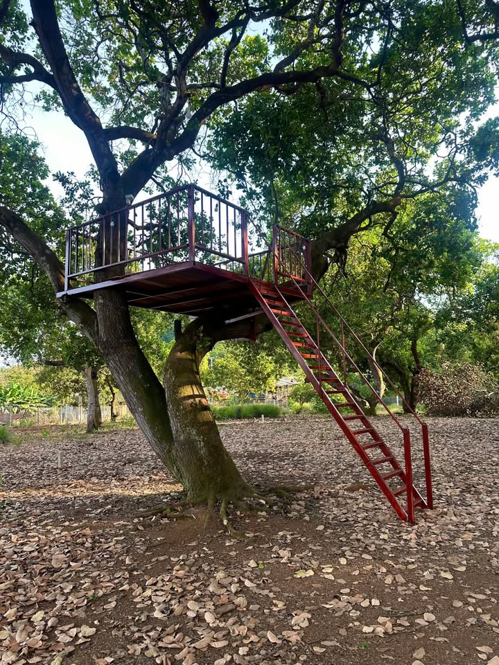 Đất vườn tại Gia Tân, Thống Nhất, Đồng Nai 1100m² giá 1.35 tỷ - Không khí trong lành, view hồ tuyệt đẹp!