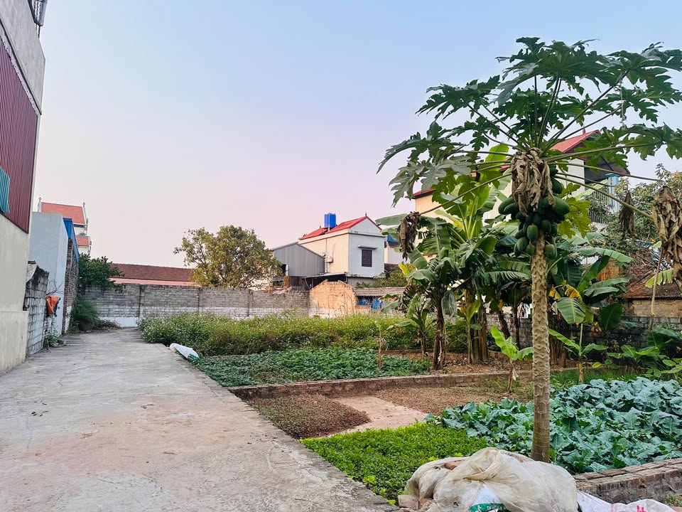 Đất nền 61.5m² tại An Mỹ, Hồng Sơn, Hà Nội chỉ 800 triệu - Cơ hội đầu tư hiếm có!