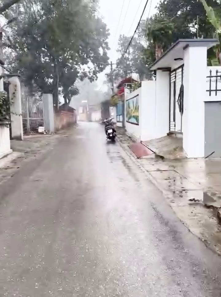 Đất 2 Mặt Đường Quất Lưu, Bình Xuyên 98m² giá 1.5 tỷ - Đầu Tư Sinh Lời!