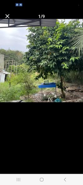 Bán nhà vườn Tân An Dĩ An 989m² giá 6 tỷ - Đường lớn thông thoáng!