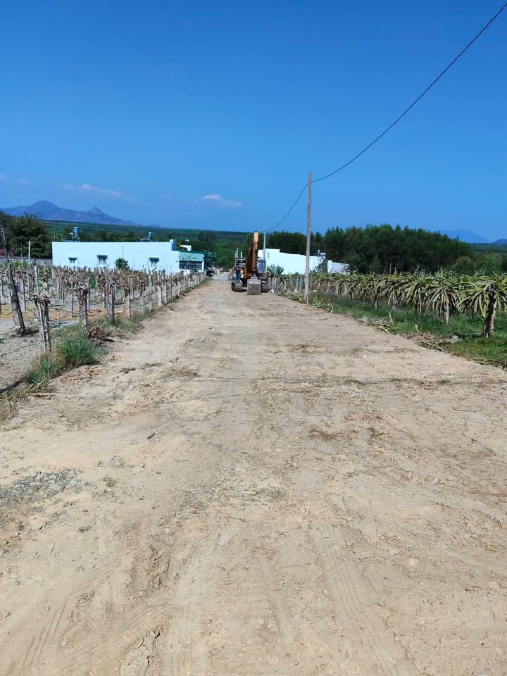 Đất nền 1650m² tại hẻm Hoàng Diệu, phường Lagi - Giá chỉ 3.2 tỷ!