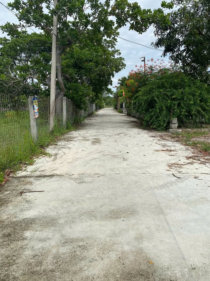 Đất nền hẻm Tôn Đức Thắng, Lâm Đồng 1260m² giá 2.2 tỷ - Đầu tư sinh lời!