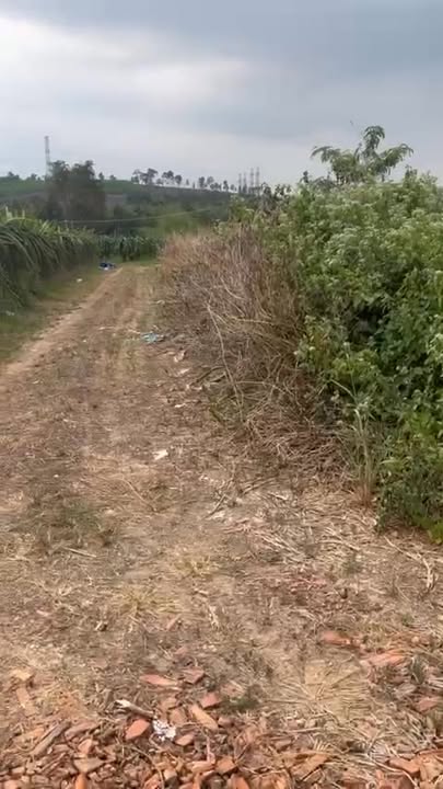 Đất nền xã Sông Phan, huyện Hàm Tân 1063m² giá 600 triệu - Đầu tư sinh lời cao!