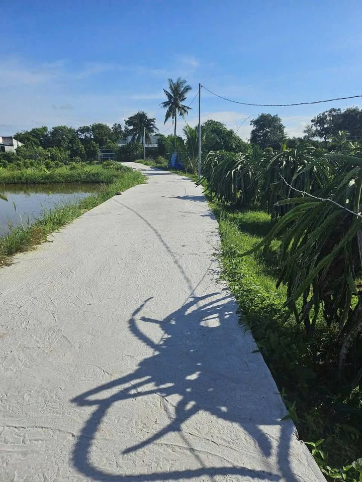 Đất thổ cư 650m² tại Phong Nẫm - Giá 2.5 tỷ, cơ hội đầu tư tốt!