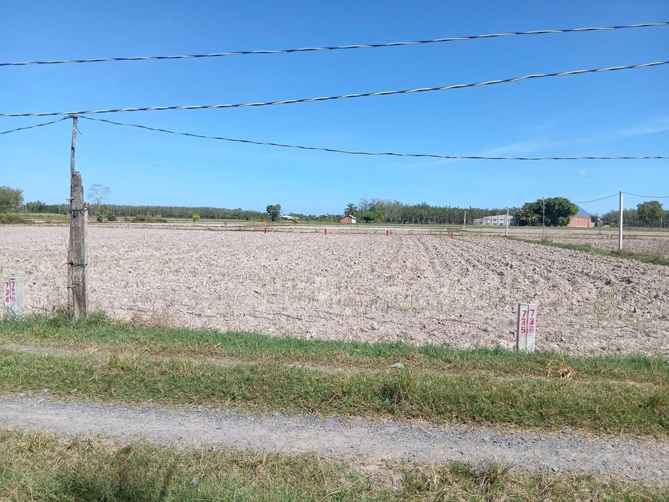 Đất thổ cư xã Long Chữ, Bến Cầu, 264m² giá chỉ 235 triệu - Cơ hội đầu tư tuyệt vời!