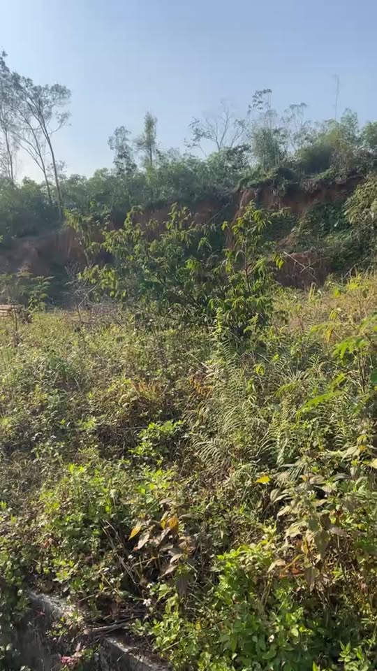 Đất nền đường Xuân Sơn, Yên Sơn, Tuyên Quang 5314m² - Cơ hội đầu tư tuyệt vời!