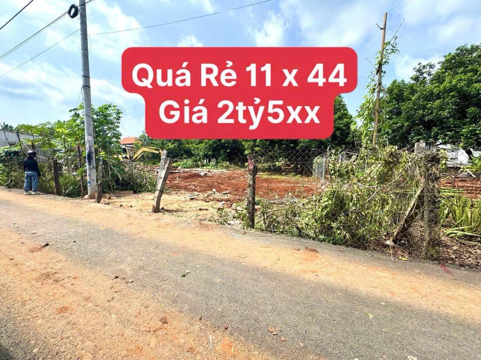 Đất nền Hẻm Nhựa Thông, Hòa Long, Bà Rịa 485m² - Giá chỉ 2.5 tỷ, cơ hội đầu tư tốt!