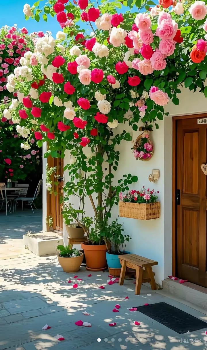 Đất Lộc Nam Bảo Lâm 8200m² giá 2.5 tỷ - Đầu tư sinh lời tiềm năng!