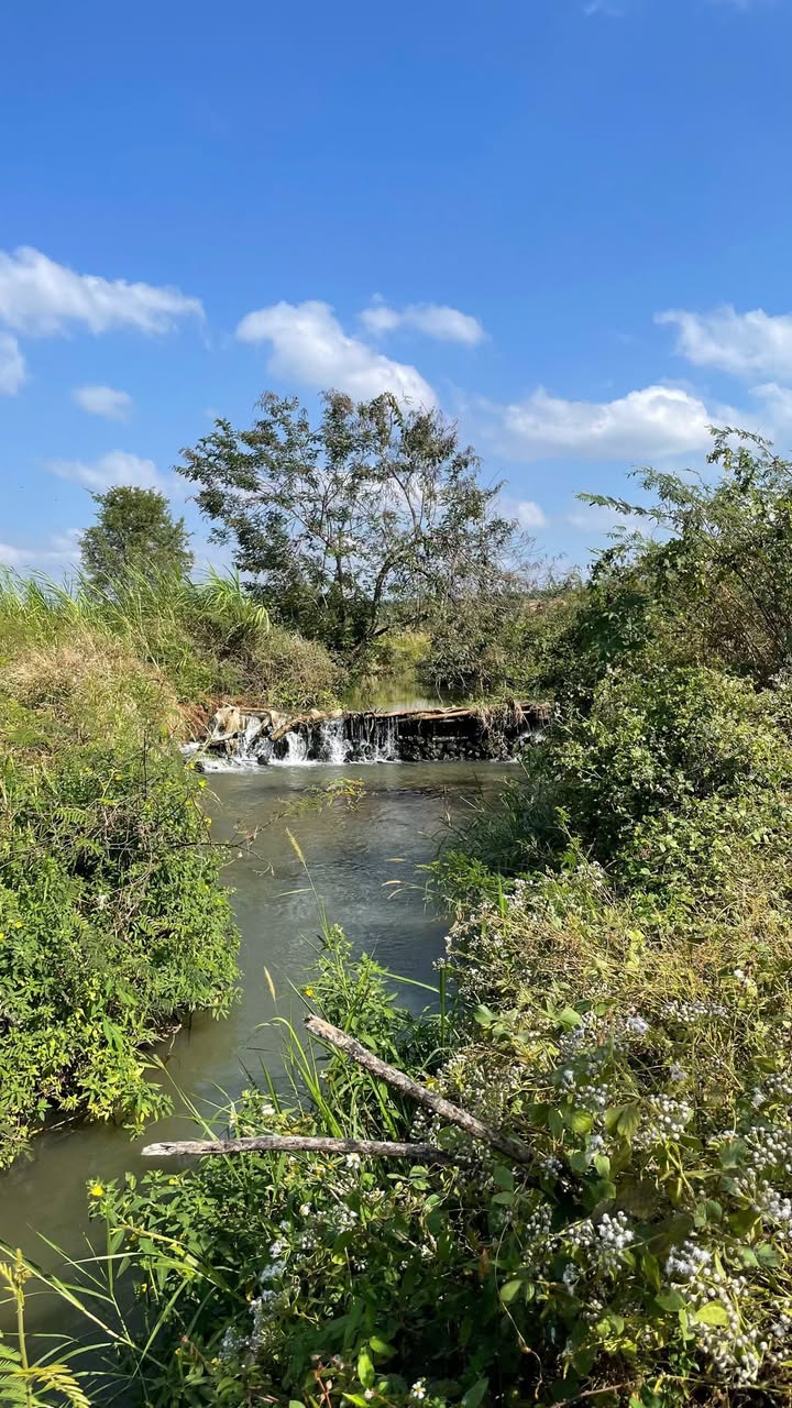 Đất Phường Thành Công Buôn Ma Thuột 9.700m² giá chỉ 3.201 tỷ - Cơ hội đầu tư tuyệt vời!