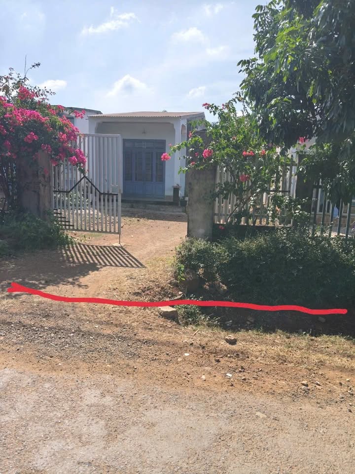 Nhà cấp 4 tại Đường A1, Buôn Ma Thuột 456m² giá 3.5 tỷ - Sẵn sàng thương lượng!