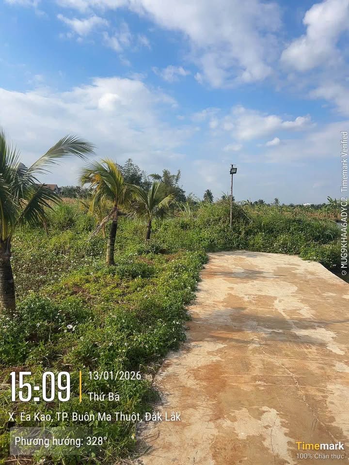 Đất nền phường Ea Tam, Buôn Ma Thuột 1.100m² giá 900 triệu - View đẹp như mơ!