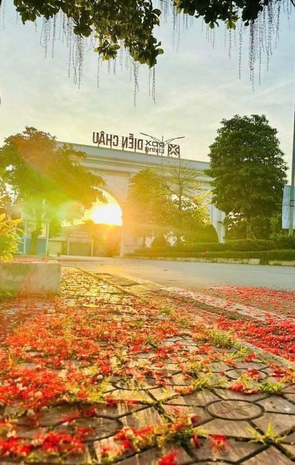 Đất nền ROX LIVING DIỄN CHÂU 108m² giá 1.7 tỷ - Đầu tư sinh lời ngay!