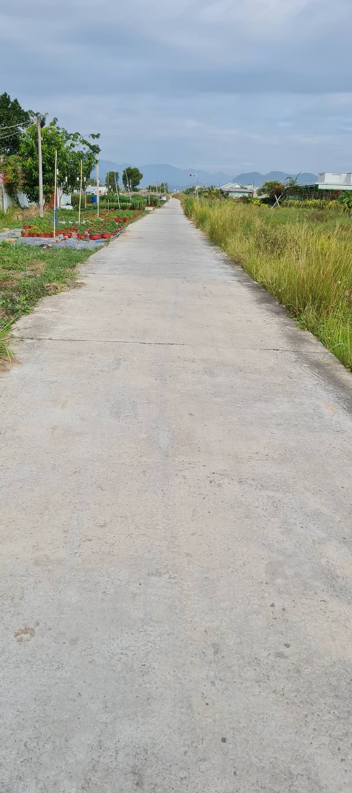 Đất vườn thanh long 743m² mặt tiền kênh N29 - Giá chỉ 550 triệu!