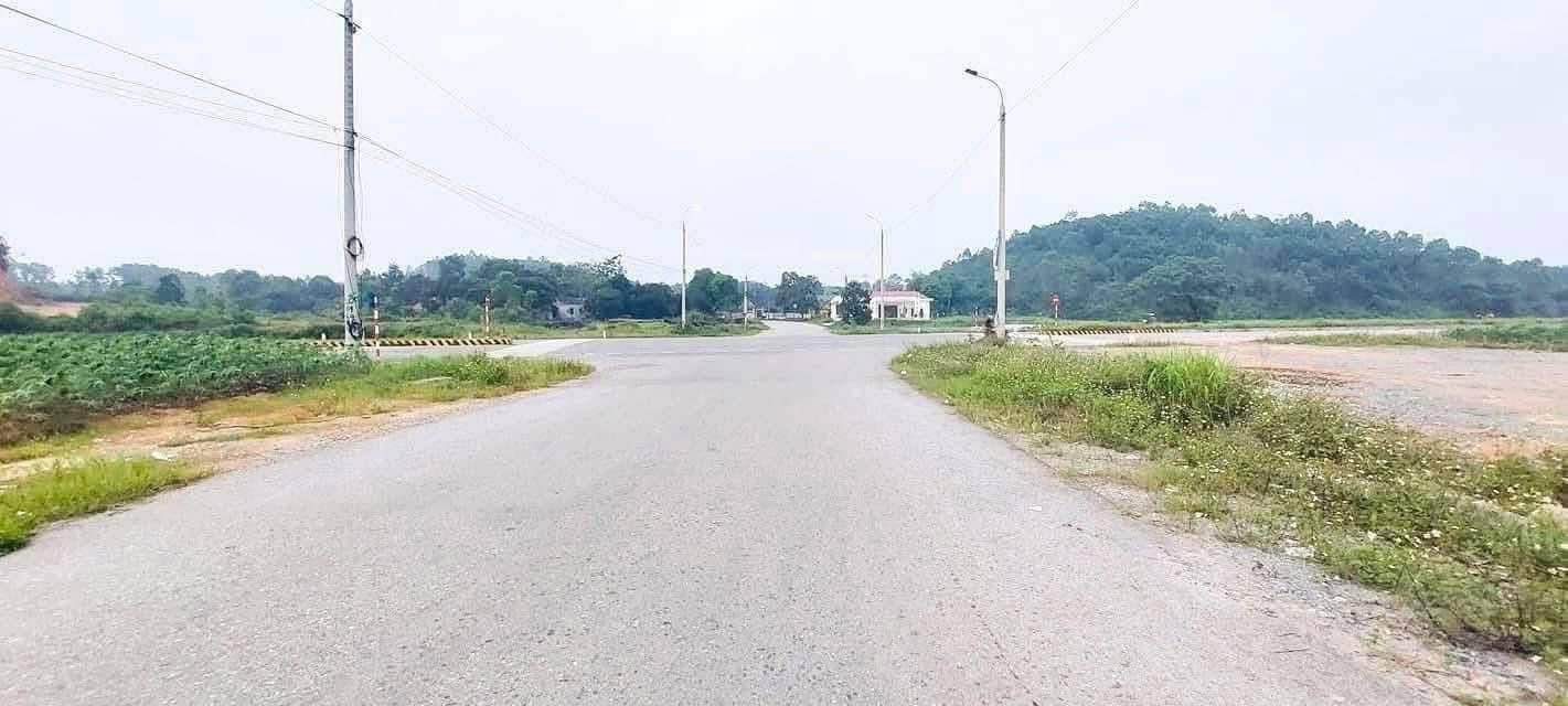 Đất đấu giá Băng 1 trục đường DH7, Phường Đống Đa, 100m² - Tiềm năng đầu tư sinh lời!