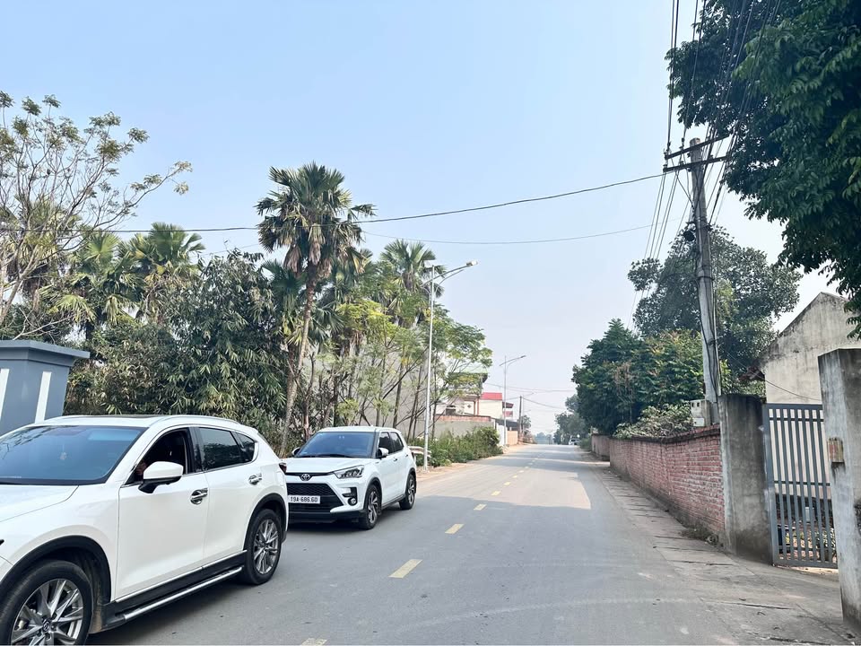 Đất nền Khu 1 xã Thanh Đình 177m² giá 1.5 tỷ - Đường nhựa đẹp, sẵn sàng đầu tư!