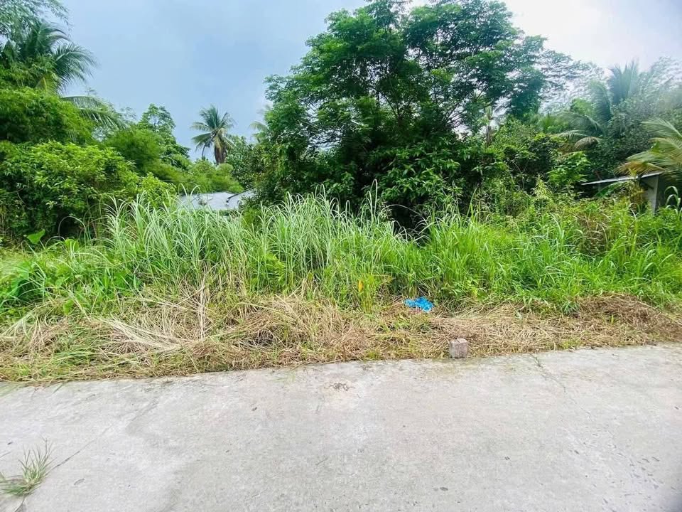 Đất nền An Bình, Ninh Kiều 81m² giá 300 triệu - Đối diện ĐH FPT và nhiều tiện ích!