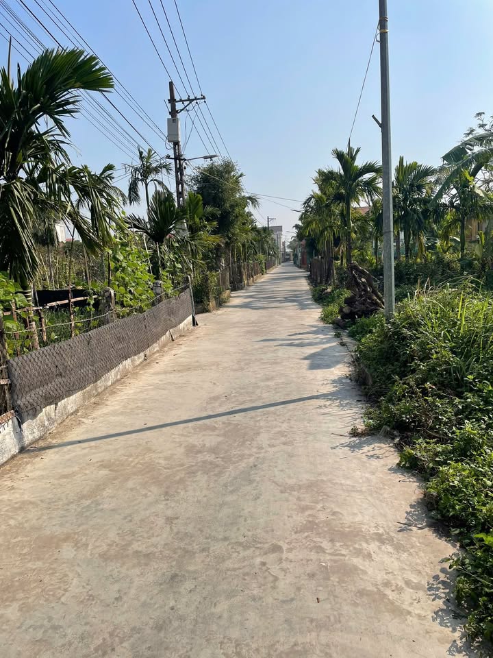 Đất nền Hải Chính 120m² giá 800 triệu - Vị trí đẹp, gần biển!