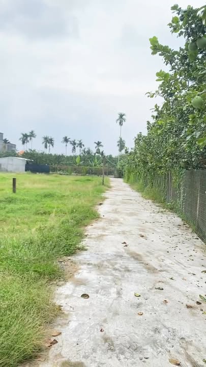 Đất nền Phường Mỹ Phong 85m² giá chỉ 600 triệu - Cơ hội đầu tư không thể bỏ lỡ!