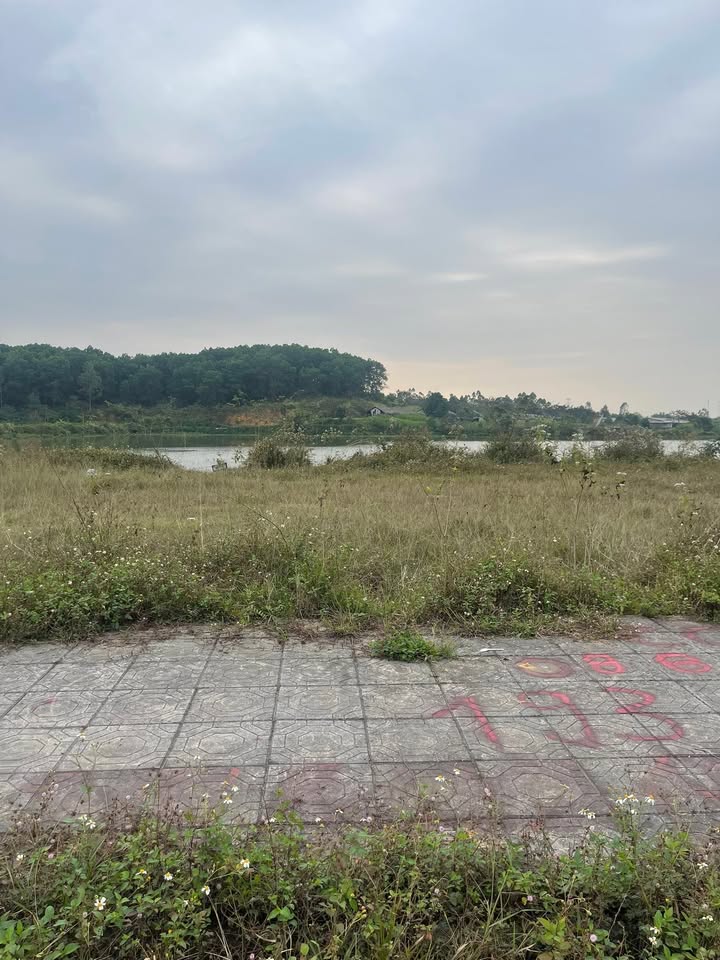 Đất nền khu công nghiệp Phú Hà 200m² - Pháp lý rõ ràng, cơ hội đầu tư tốt!