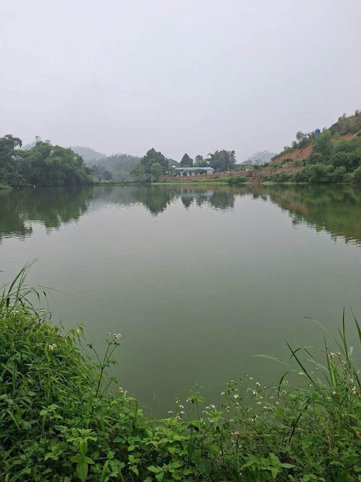 Đất nền KCN Liễn Sơn Vĩnh Phúc 1800m² giá 2 tỷ - Cơ hội đầu tư hấp dẫn!