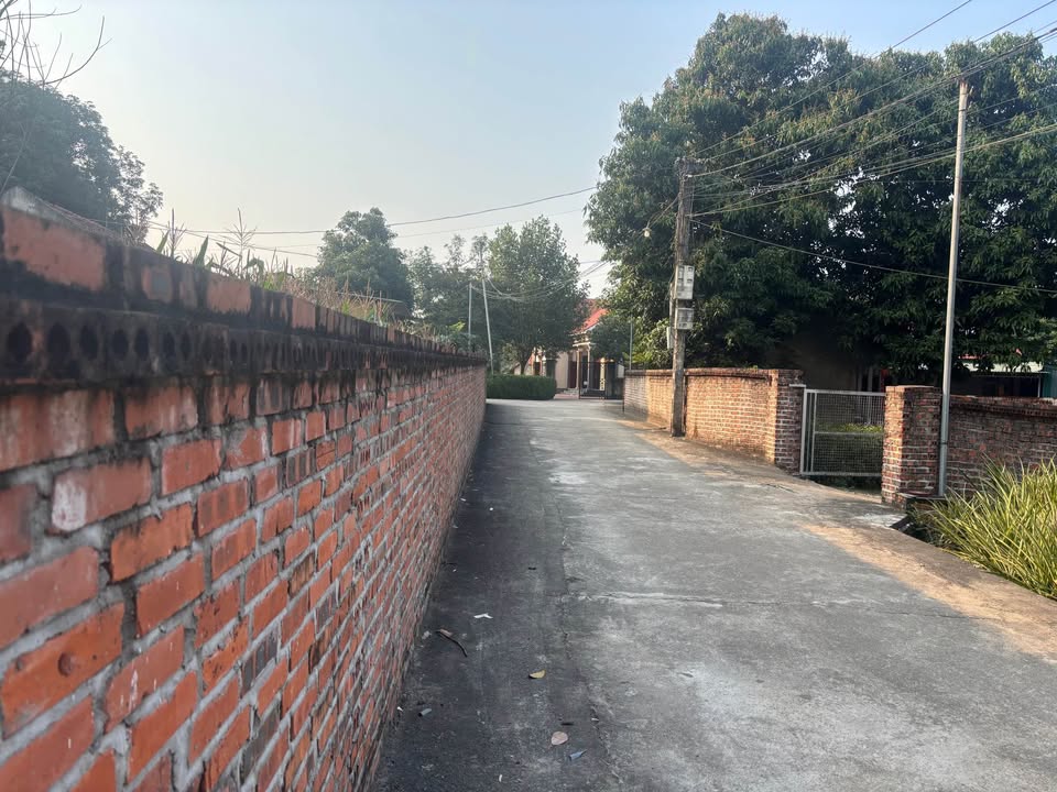 Đất Khu 1 Thanh Đình - Xã Hy Cương 138m² Giá Chưa Đến 1 Tỷ - Sang Tên Nhanh Gọn!