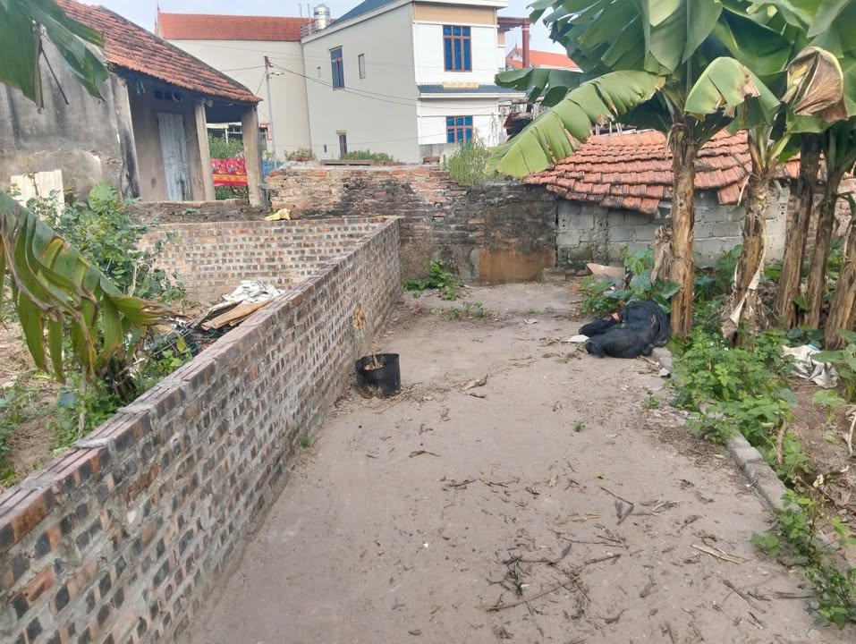 Đất nền Vân Tảo, Thường Tín 51,5m² giá 3,1 tỷ - Cơ hội đầu tư hiếm có!