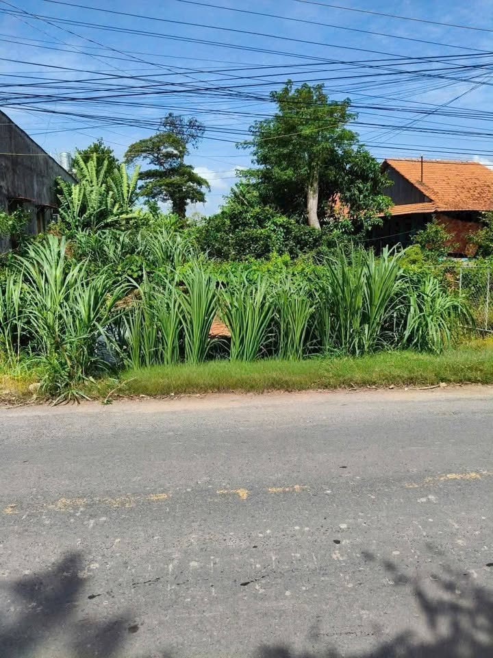 Đất nền thổ cư xã Long Kiến, Huyện Chợ Mới 1400m² - Sổ đỏ chính chủ, giá tốt thương lượng!