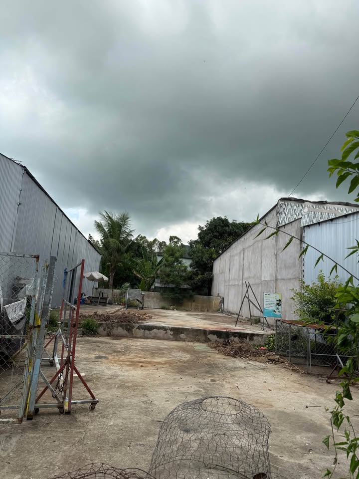 Đất nền mặt tiền Quốc lộ N1, Tịnh Biên 1019m² giá 1.25 tỷ - Cơ hội đầu tư tuyệt vời!