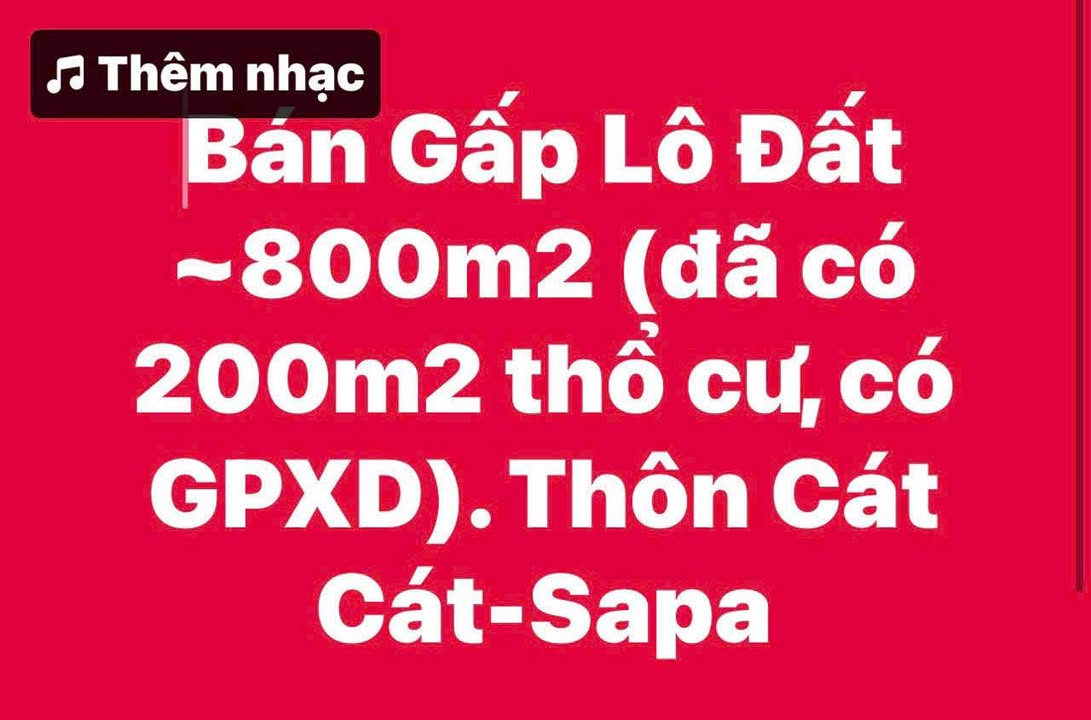 Đất làm homestay 800m² tại Sa Pa 1.5 tỷ - Vị trí đắc địa, view đẹp!