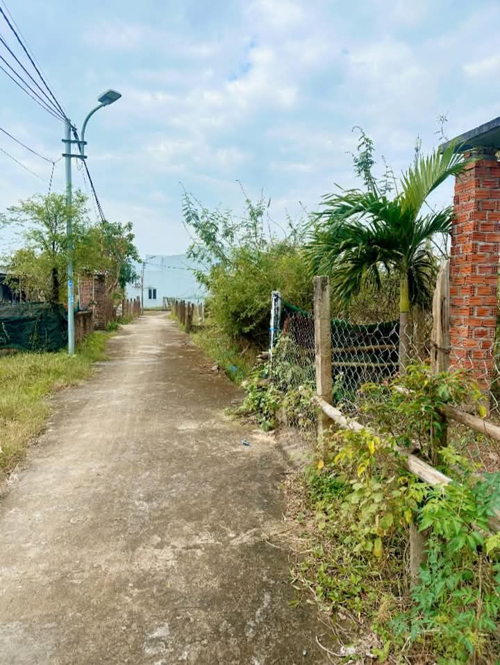 Đất kiệt ô tô Thị An 97m² giá 2.0 tỷ - Đầu tư sinh lời tốt!