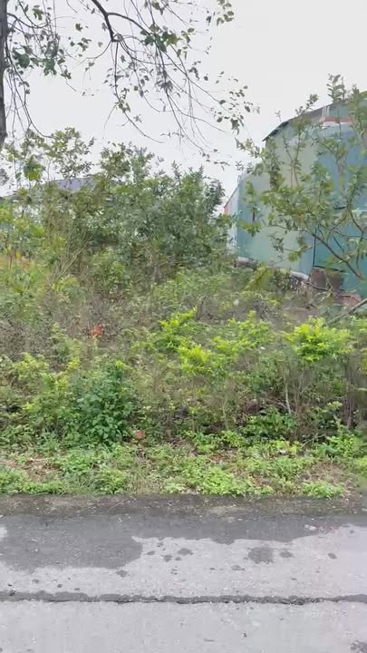 Đất nền Tân An Cẩm Bình 300m² giá thỏa thuận - Đường lớn, tiện ích đầy đủ!