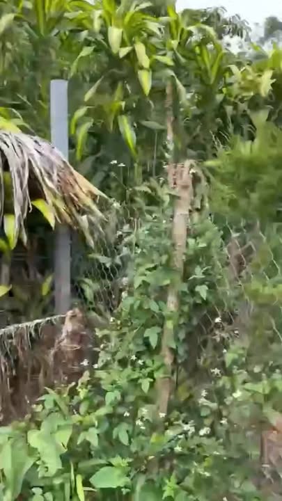 Đất thổ cư Lộc Nga Bảo Lộc 1.700m² giá 1.19 tỷ - Cơ hội đầu tư hấp dẫn!