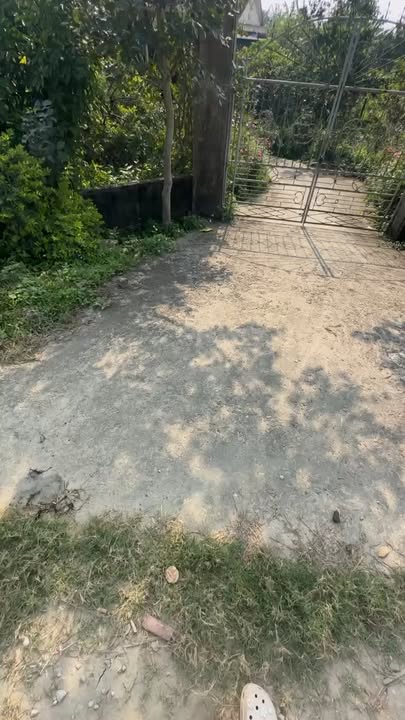 Đất nền Thôn Đông Thái, Xã Tùng Ảnh 250m² - Giá thỏa thuận cực hấp dẫn!